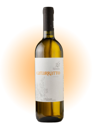 Catarratto 2022