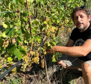 Piccolo Podere del Ceppaiolo