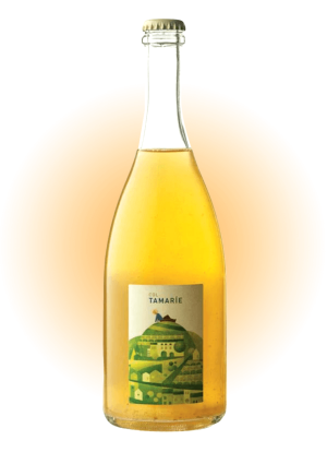 Vino Frizzante Bianco 2022