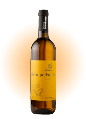 Falco Peregrino 2022