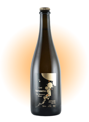 Harusame IGT Emilia 2020