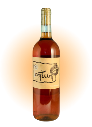 Scintilla Rosato 2022