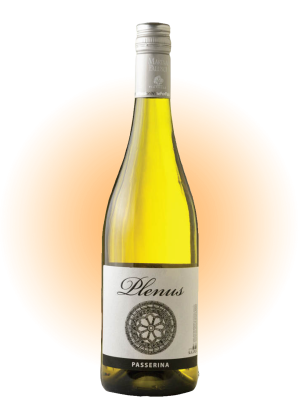 Plenus Passerina 2017