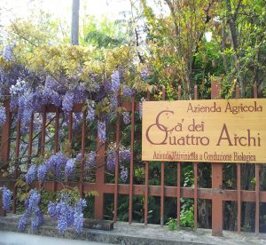 Ca' dei Quattro Archi