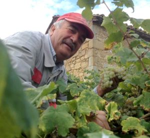 Azienda Agricola Tiberi