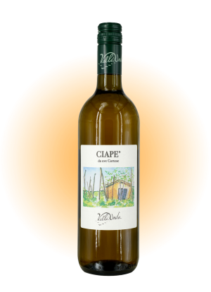 Ciapè 2022 DOC Colli Tortonesi