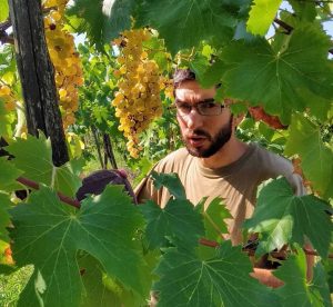 Cantina Simone e Giacomo